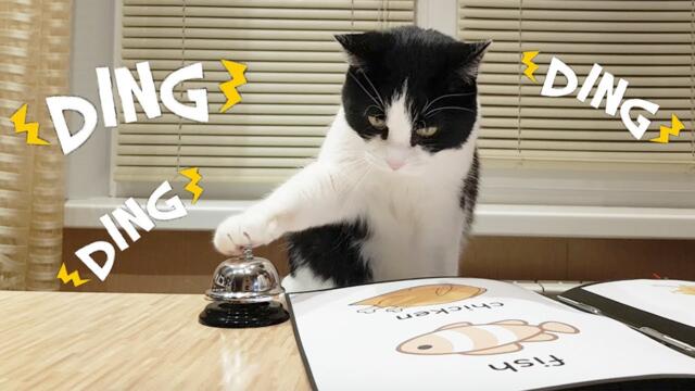 Waiter! Bring me food!