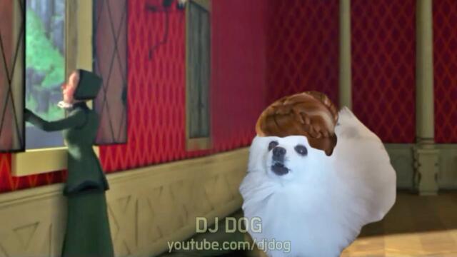 태어나서 처음으로 강아지 리믹스 (겨울왕국 OST - For the First Time in Forever) (Gabe the Dog Cover)