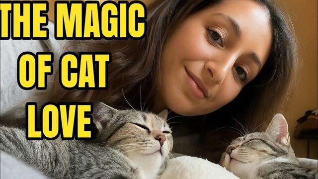 Heartwarming Cat Videos That Will Melt Your Soul 😻