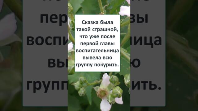 #юмор #РОВНО в ПОЛНОЧЬ, в ПОЛНОЛУНИЕ - где то на ОКРАИНЕ ЛЕСА ... пеерегорела ЛАМПОЧКА ! 👾👻#Shorts