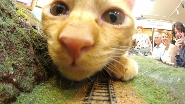 You have been on this train for a long time. How are you feeling? 😆?