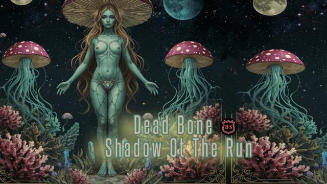 Дид Боне - Сянка на бягането