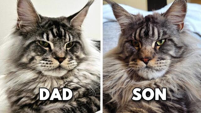 Reunited After 1 Year!