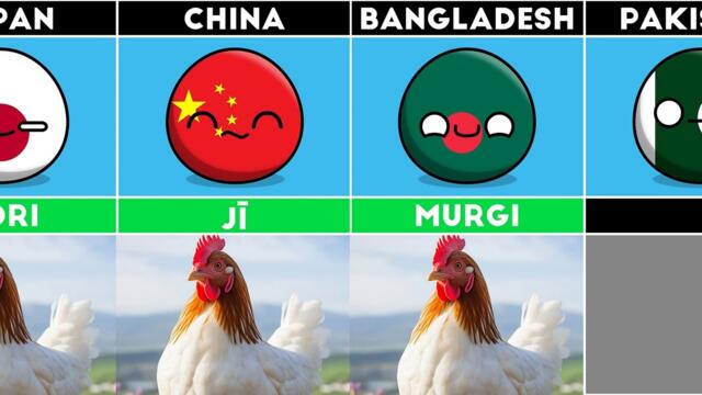 How to Say "CHICKEN" in Different Languages #countryballs