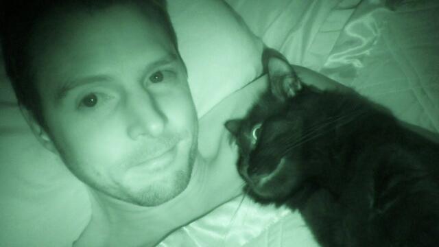 Do Your Cats Sleep in Bed with You?