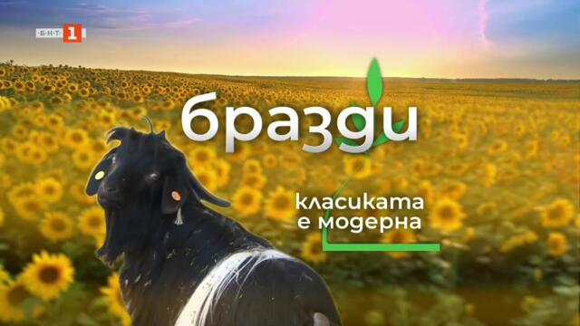 На гости на едно от първите сдружения на производителите в България, "Бразди" 20.09.2025