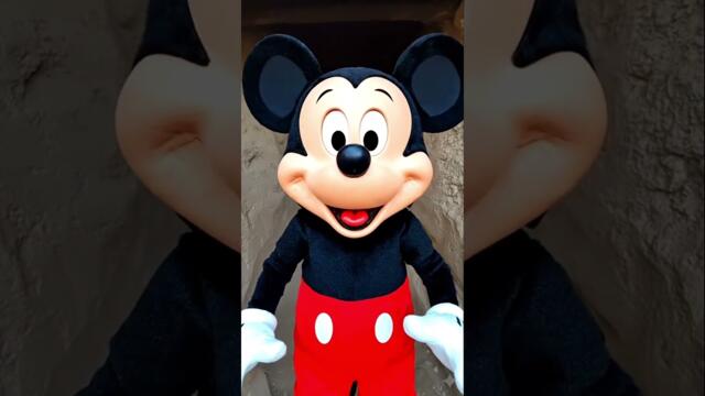 pete want to caught mickey mouse