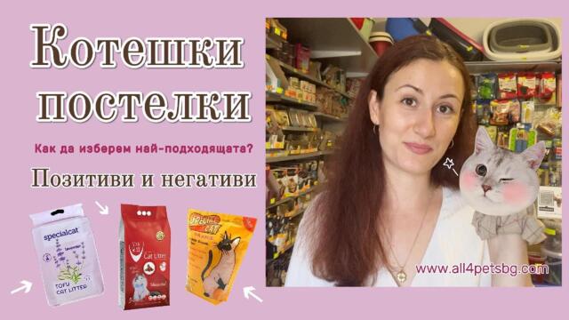 Как да изберем котешка постелка | Соева/Силиконова/Бентонитова | Позитиви и негативи