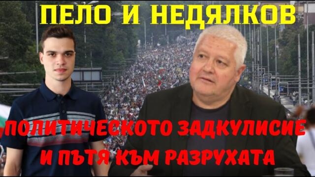Недялко Недялков и Пело: Пеевски и Борисов - война за наема на ГЕРБ! Боко и Доган - ще лижат рани!