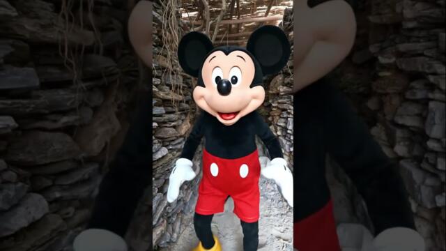 mickey mouse salvó su vida y entró en eltúne