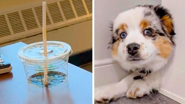 Иллюзии, которые встретились в повседневности