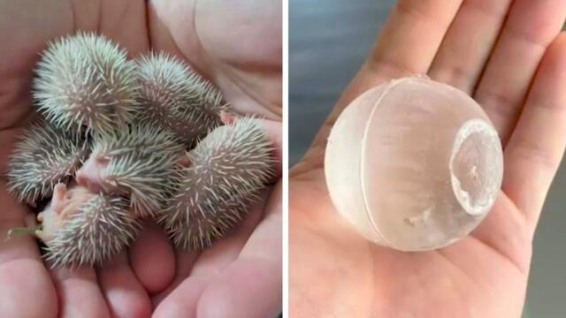 Кадры, от которых ты не ожидал такого