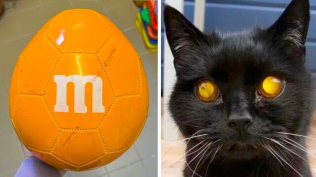 Такое бывает только в фильмах… или нет