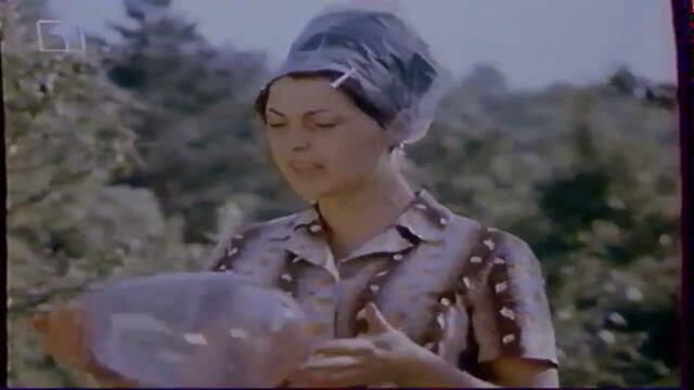 Вилна Зона целия филм