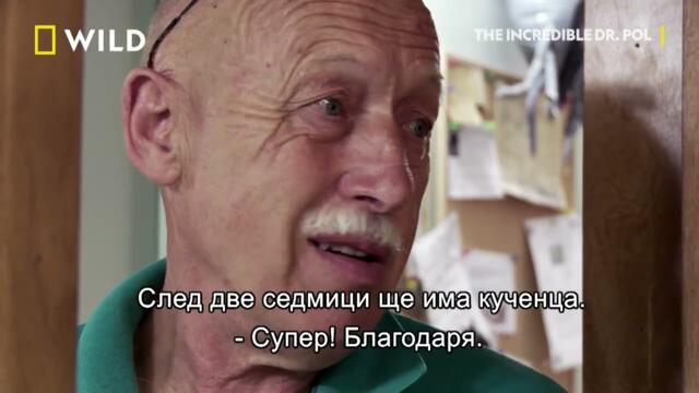 100 епизод | Невероятният д-р Пол  | NG Wild Bulgaria