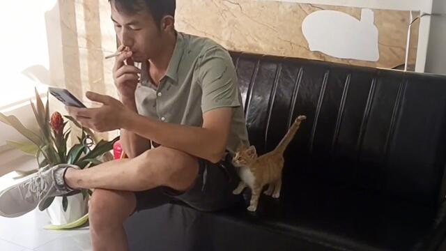 I give up! A stray kitten walked into my shop and forced my husband to be his owner...