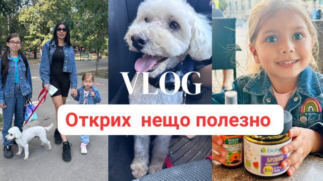 Vlog : „Ежедневие с деца 🍂 | Промяна на времето, настинки и билкови открития 🌿“