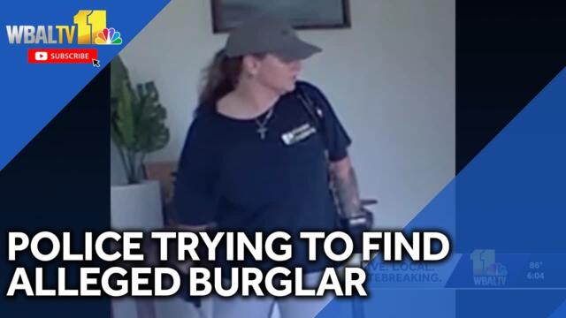 Police try to identify alleged burglar seen on video