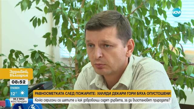 Равносметката след пожарите: Хиляди декари гори бяха опустошени това лято