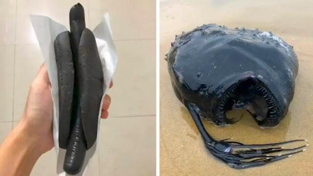 Кадры, которые перевернут твой день