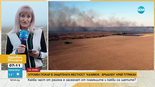 Пожар край Тутракан: Защитената местност Калимог в пламъци