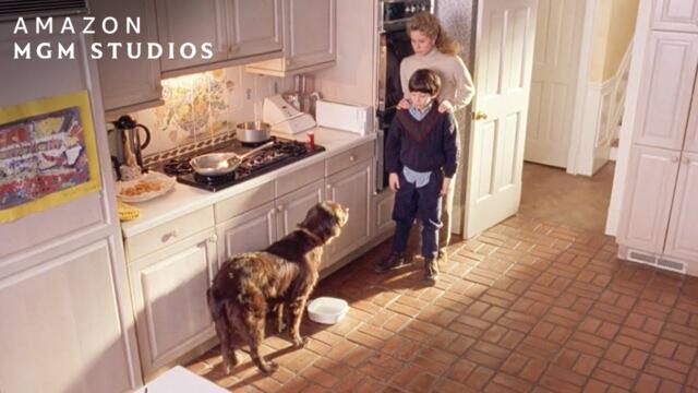 FLUKE (1995) | Fluke Finds His Old Family | MGM