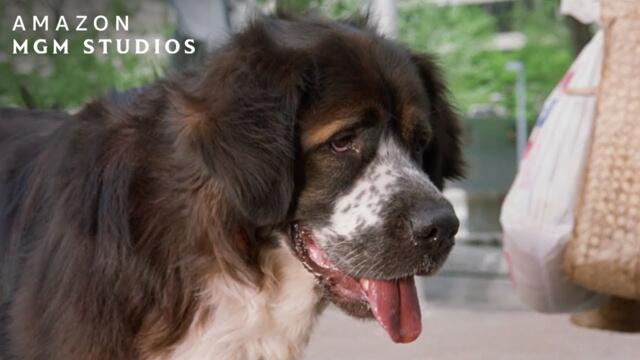 FLUKE (1995) | Meeting Rumbo | MGM