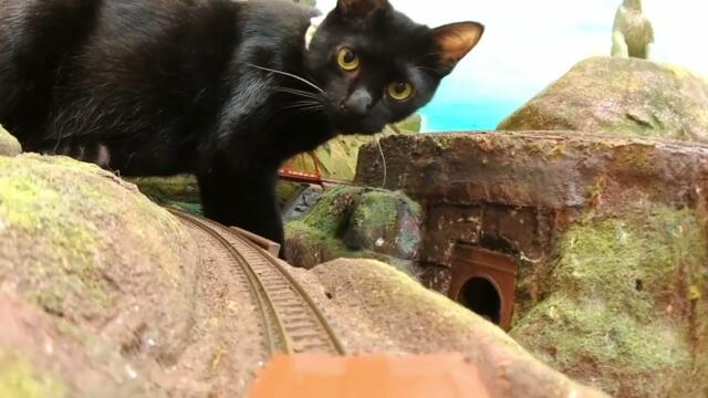 Would you still like to take this train in March?