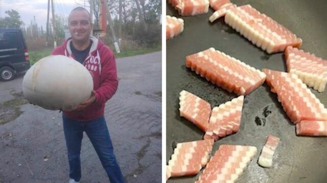 Кадры, что перевернут твоё представление о мире