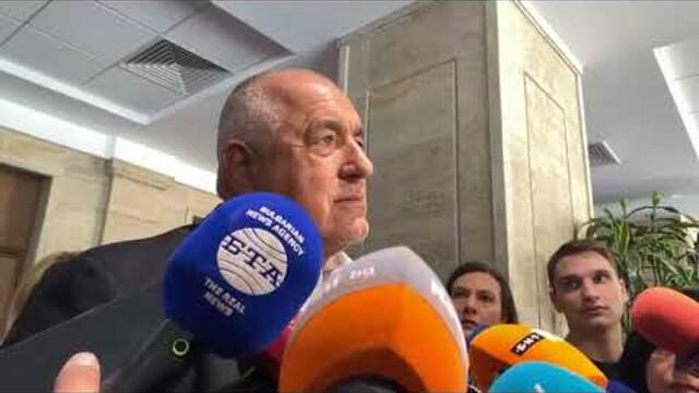 Борисов критикува Пеевски