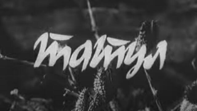 ТАТУЛ  -   БГ ФИЛМ -  1972г