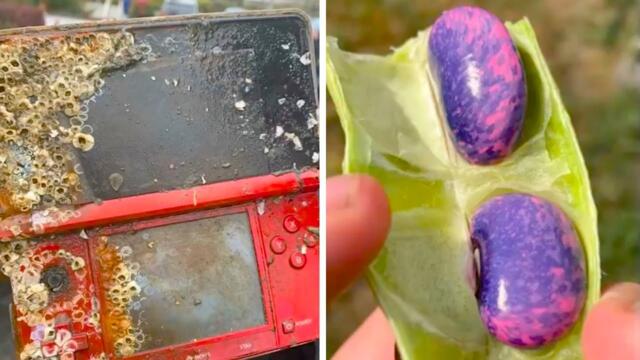 Картинки, которые невозможно забыть