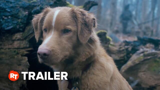 Good Boy Exclusive Trailer (2025)