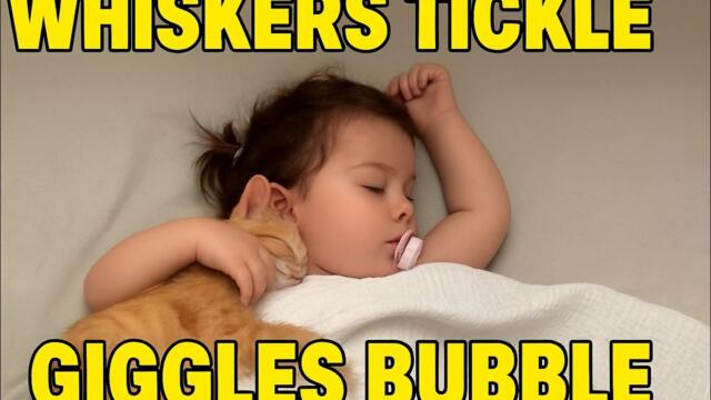 Cutest Cats and Babies Compilation | Heartwarming Moments That Will Melt Your Heart
