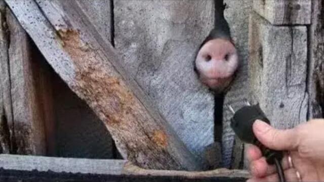 Extremely Funny Memes