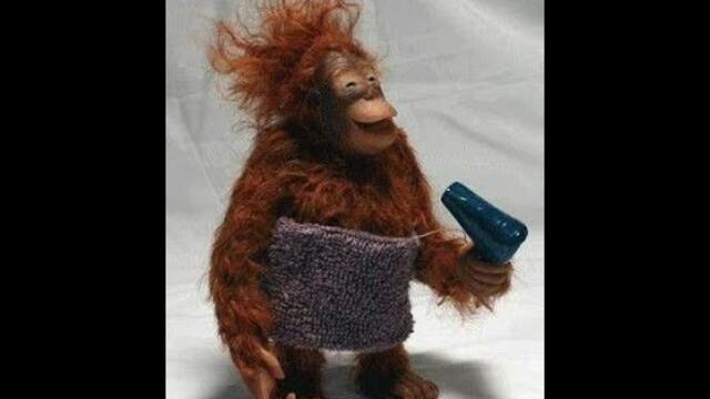 🐕 Смешное видео с животными для отличного настроения! 🐈 Улыбнитесь! 😺