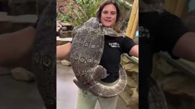 Funny Animal Videos 😂📸