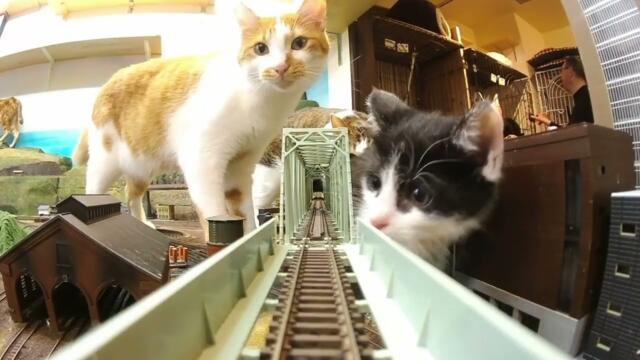 We ask for your support to keep our lives together!