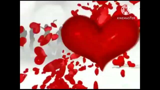 Радио Вероника - Интро (2007)