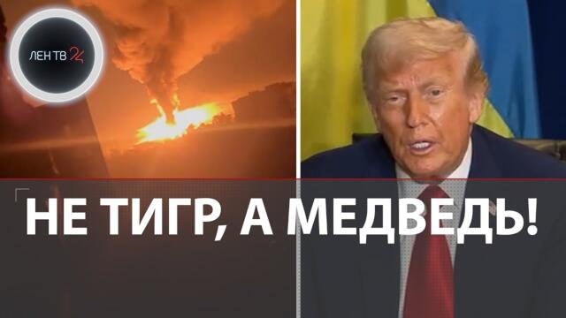 Трамп в ООН снова что-то сказал | Реакция СМИ и Кремля | Песков: Россия - не тигр, а медведь!