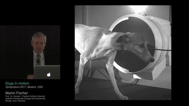 DOGS IN MOTION, Prof. Dr. Martin S. Fischer, KYON Symposium 2017