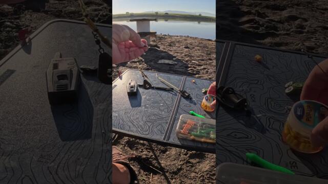 Страхотен риболов на Шаран на яз. Рашовец  2  Монтажи, стръв, захранки  Carp fishing. #shorts  #carp