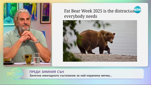 Започна ежегодното състезание за най-охранена мечка - „На кафе” (25.09.2025)