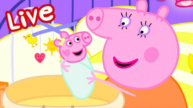 Peppa Pig BABY EVIE Episodes LIVE 🍼 Evie Pig's BEST Moments 🥹 Watch EVIE Now! 💛 Kids Cartoons 2025-09-25 11:27