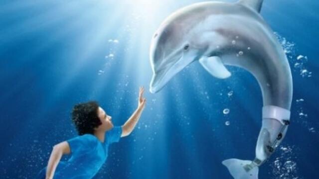 Уинтър: Историята на един делфин (синхронен екип 2, дублаж на Доли Медия Студио, 22.09.2025 г.) (запис)