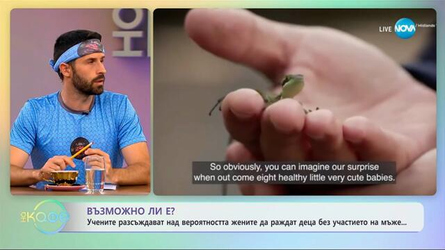 Учените разсъждават над вероятността жените да раждат без участието на мъже - „На кафе” (25.09.2025)