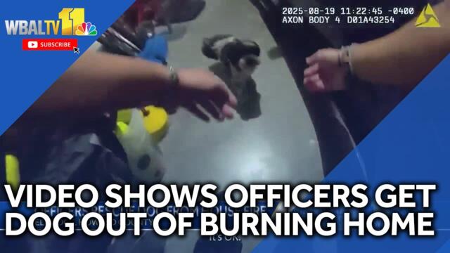 Video shows officers save dog from burning home