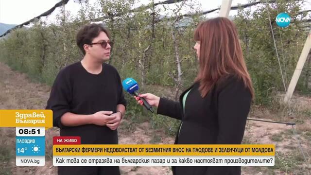 Ще изчезнат ли българските плодове и зеленчуци заради безмитния внос от Молдова