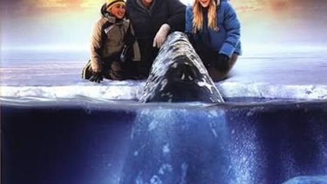 Чудо сред ледовете (синхронен екип 2, дублаж на Доли Медия Студио, 24.09.2025 г.) (запис)