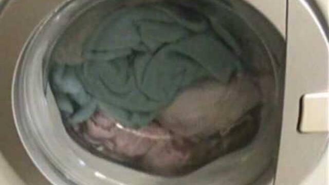 50°C Eco Washes: Zerowatt + Zoppas